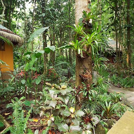Korrigan Lodge Cahuita Exteriör bild