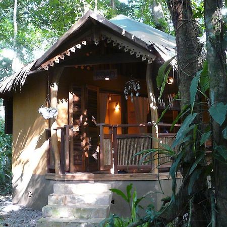 Korrigan Lodge Cahuita Exteriör bild