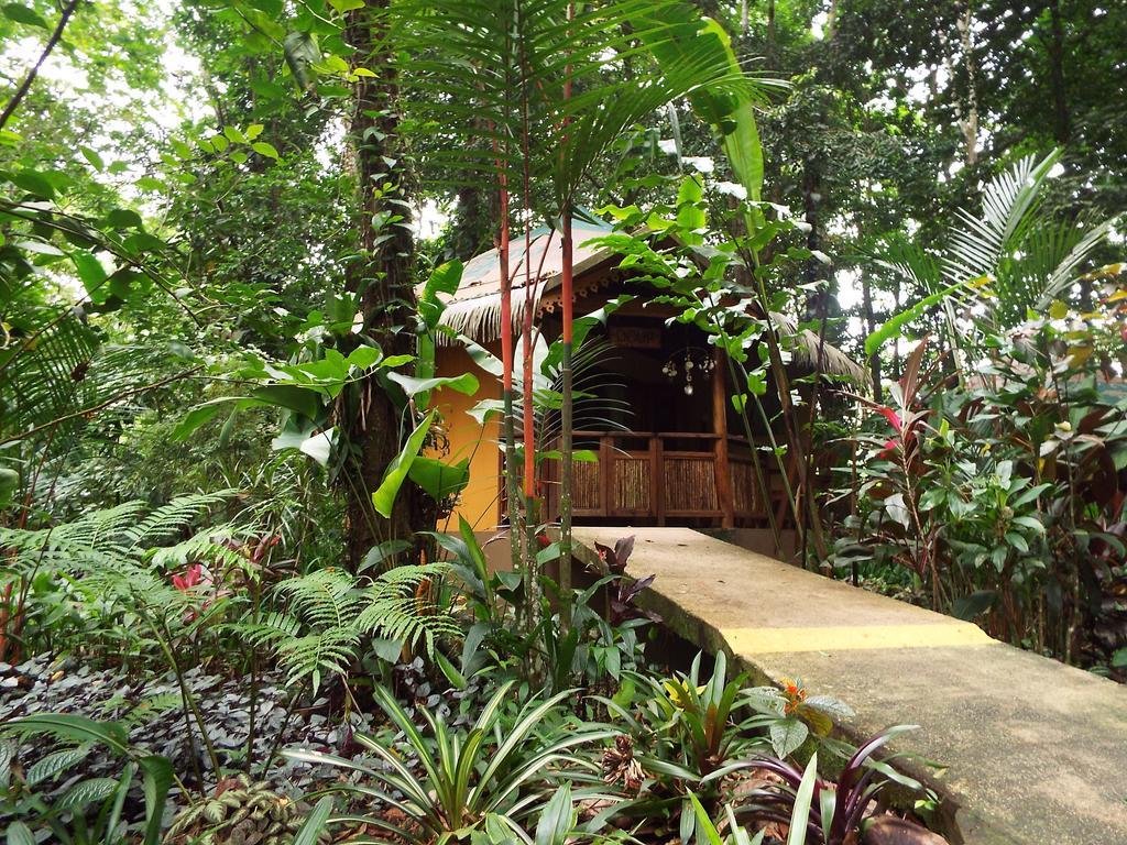 Korrigan Lodge Cahuita Rum bild
