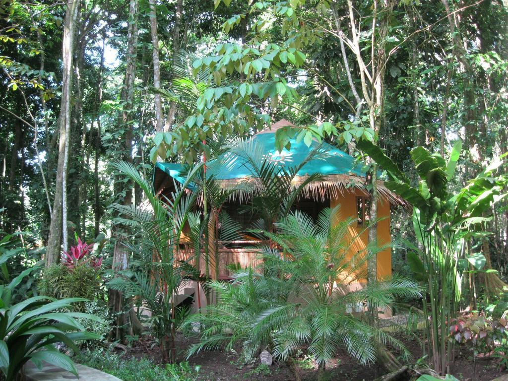 Korrigan Lodge Cahuita Rum bild