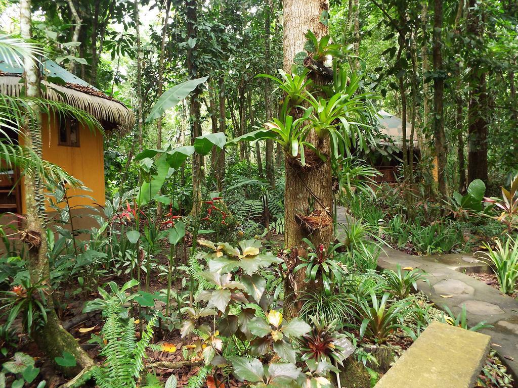 Korrigan Lodge Cahuita Exteriör bild