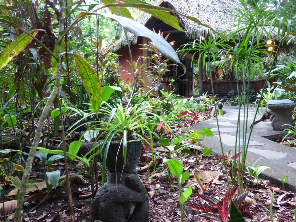 Korrigan Lodge Cahuita Exteriör bild