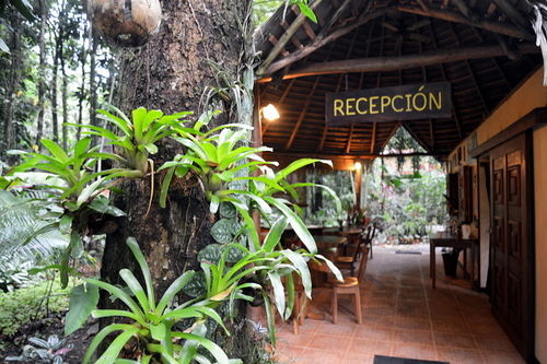 Korrigan Lodge Cahuita Exteriör bild