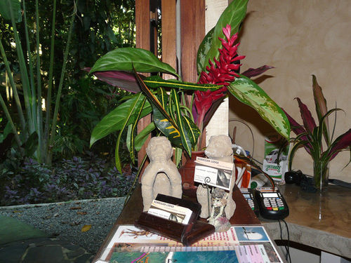 Korrigan Lodge Cahuita Exteriör bild