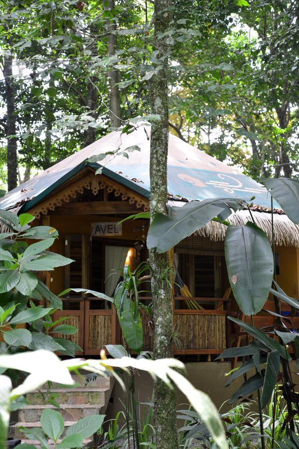 Korrigan Lodge Cahuita Rum bild